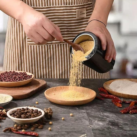 Mini Mixer Grinder
